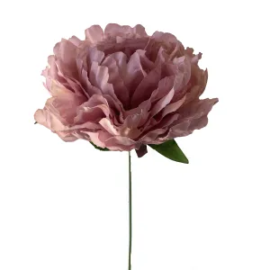 Artificial Silk Large Single Head Peony Flower Stem - Dusty Rose