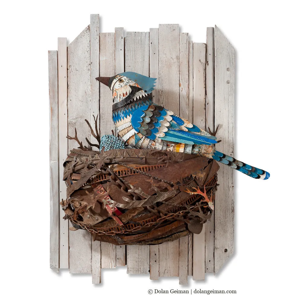 BLUE JAY IN NEST original metal wall sculpture