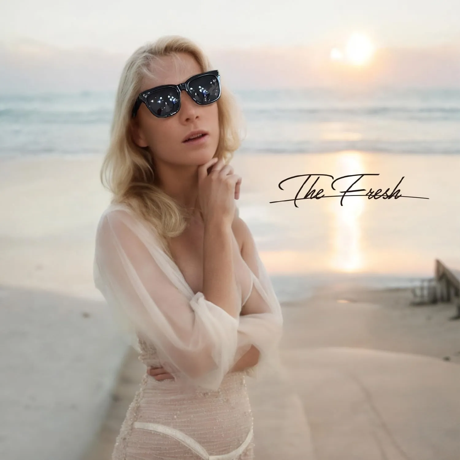 The Fresh Women's Polarized Fashion Tip Pointed Cateye Sunglasses - Gift Box Package